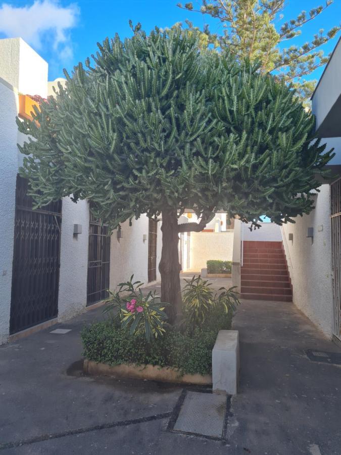 Primavera Apartment Olga With Free Wifi Arona  Buitenkant foto